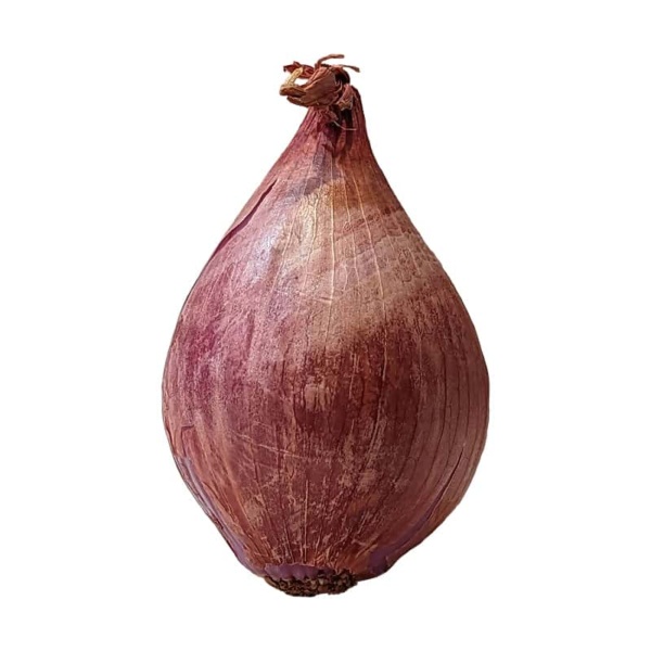 Shallot on a white background