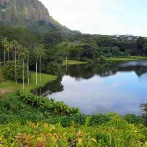honolulu hawaii