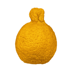 Sumo Citrus Mandarin Orange on a transparent (no) background