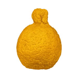 Sumo Citrus Mandarin Orange on a transparent (no) background