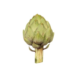 Artichoke on a white background