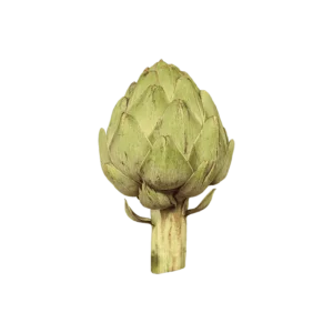 Artichoke vegetable on a transparent (no) background