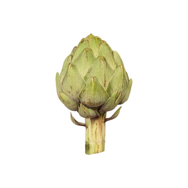 Artichoke on a white background