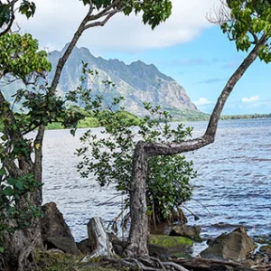 Hawaii 18