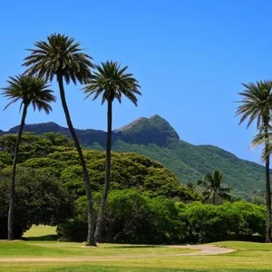 Honolulu Hawaii