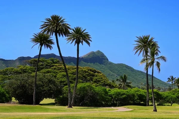Honolulu Hawaii