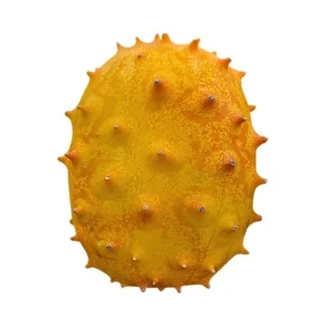 Kiwano Melon