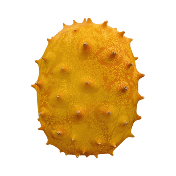 Kiwano Fruit on a transparent background