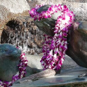 Hawaiian Sculpture
