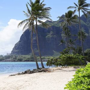Hawaiian Coastline
