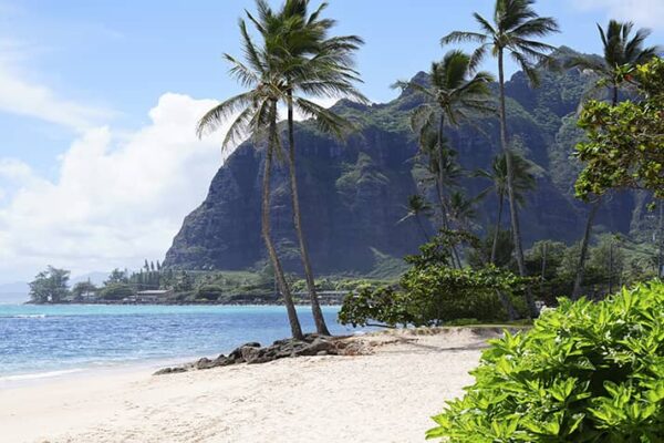 Hawaiian Coastline