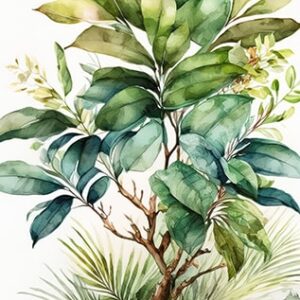 Wabi-Sabi Digital Art