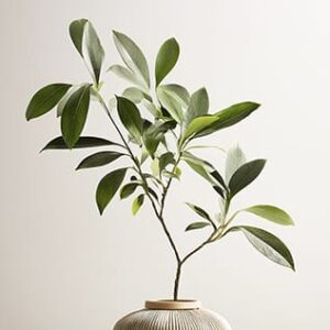 Wabi-Sabi Digital Art