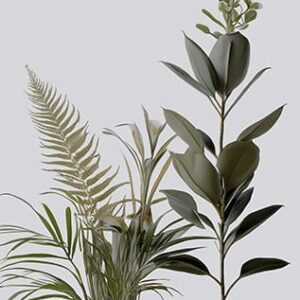 Wabi-Sabi Digital Art