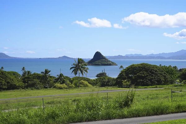 Hawaiian Coast