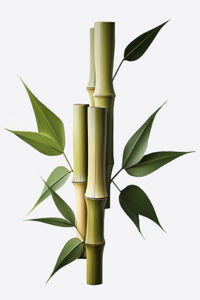 Digital Abstract Art